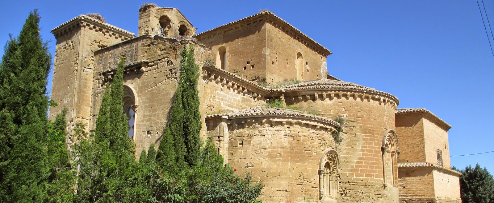 monasteriosigena